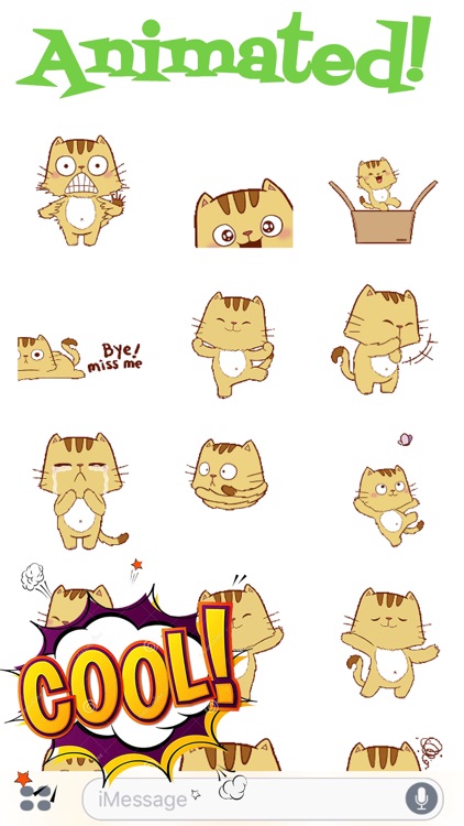 Funny Pipo Cat Animated