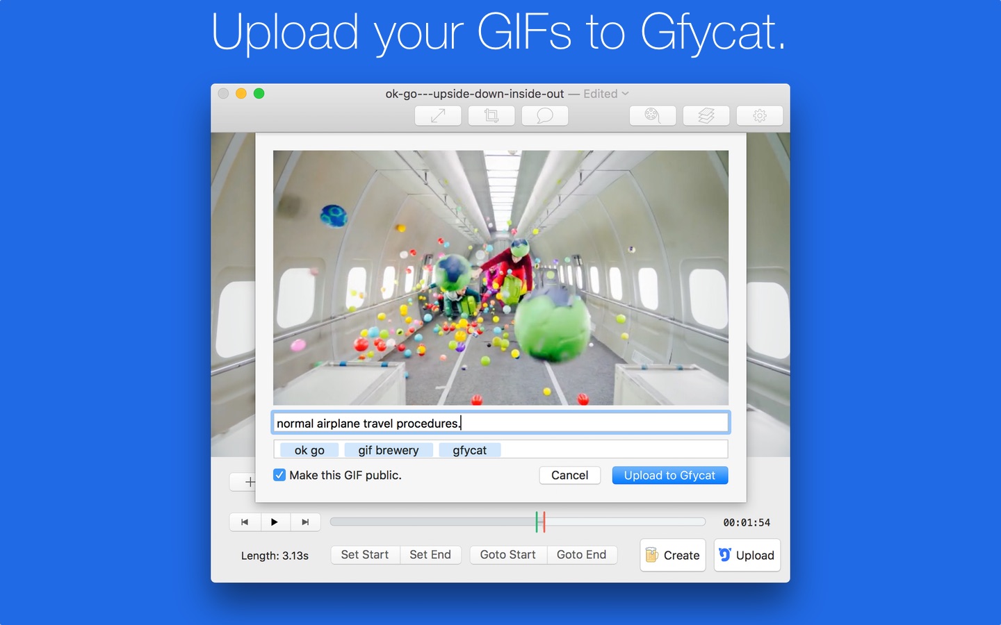 Screenshot do app GIF Brewery 3 by Gfycat