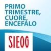 1° trimestre, cuore, encefalo - iPhoneアプリ