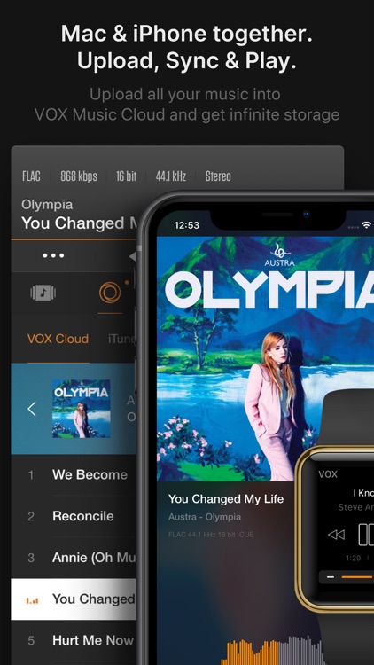 VOX – MP3 & FLAC Music Player screenshot-0