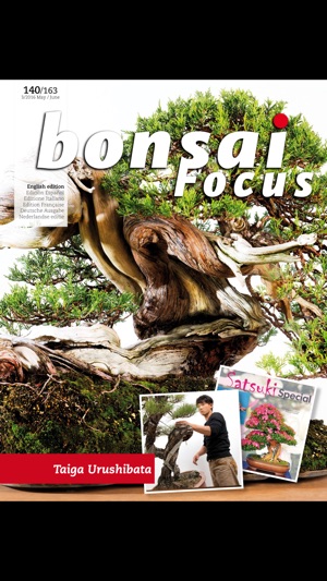 Bonsai Focus EN(圖1)-速報App