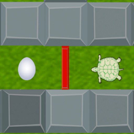 The Turtle's Challenge Icon