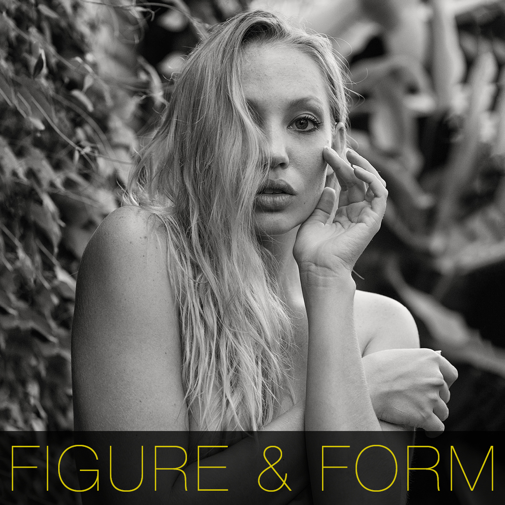 Figure and Form App Icon