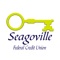 Access Seagoville Federal Credit Union's Member