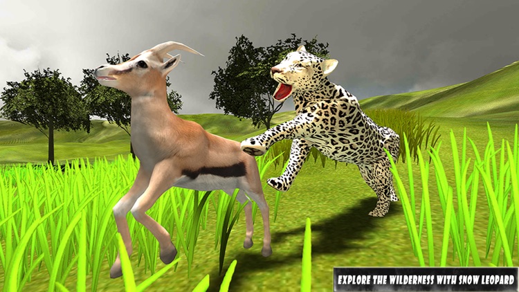 Snow Leopard Simulator 2017: Wild Big Cat Attack screenshot-3