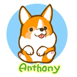 Corgi Anthony