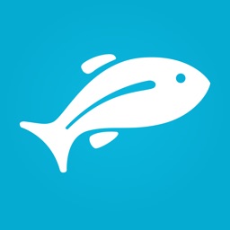 Fishing Forecast - Fishbox App