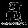 dogphotoday.ch