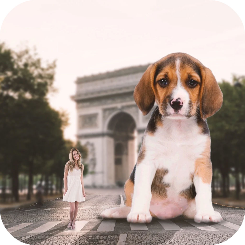 Get Big Camera -Giant Camera Photo for iOS, iPhone, iPad Aso Report