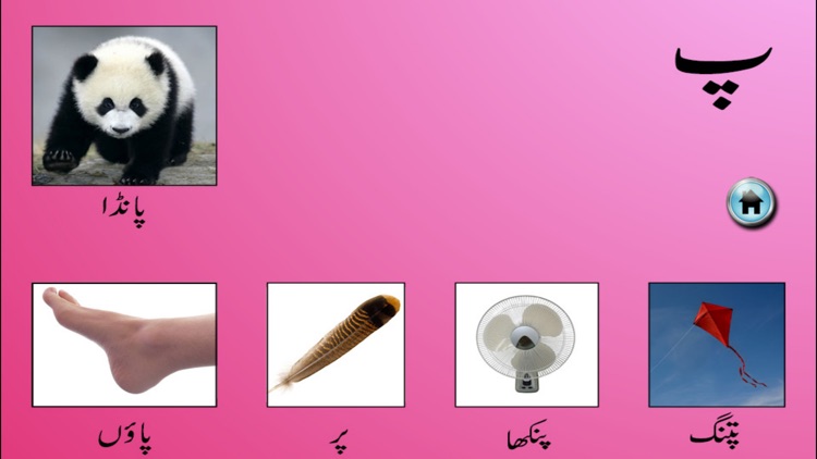 My First Book of Urdu HD screenshot-3