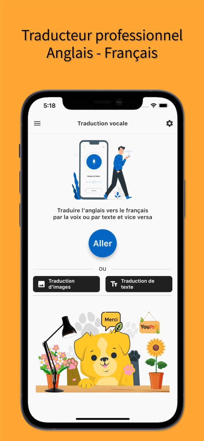 English to French Traduction