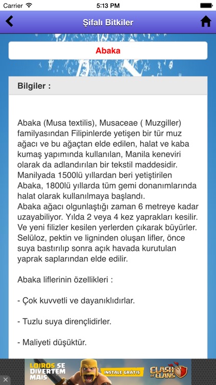 Bitkiler Sözlüğü