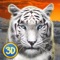 Wild Snow Leopard: Animal Simulator