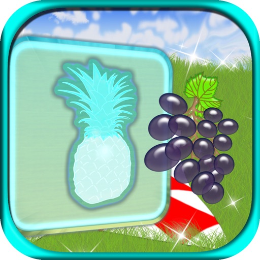 Fruits Match Game Wood Puzzle Icon