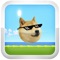 MLG Doge 360 is finally on the apple app store