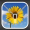 Hide pictures and videos securely and conveniently in Photo Locker