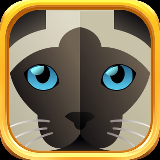 Siamese Cat Stickers - Siamese Cat Emojis