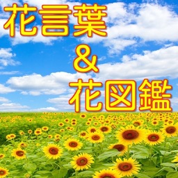 花言葉＆花図鑑