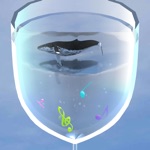 炭酸水のクジラ