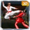 Karate Fighting Art - Kung Fu Ninja Tiger actions