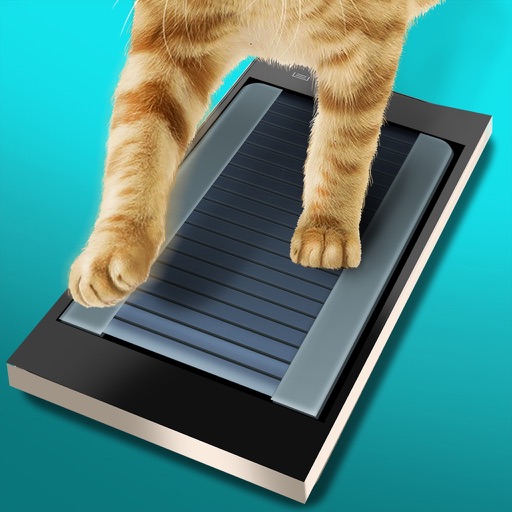 Running Track for Cat iOS App