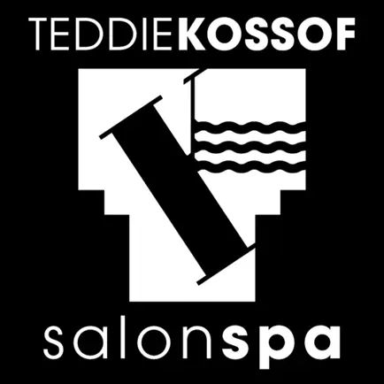 Teddie Kossof Salon Spa Cheats