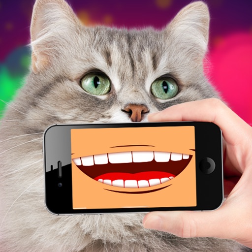 Talking Cat Translator PRO iOS App