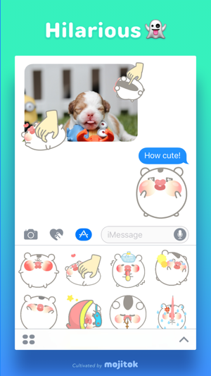 Hamjjew Animated Stickers(圖3)-速報App