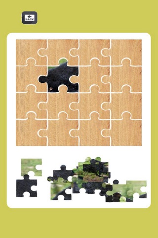 Bear Animal Puzzle Animated For Toddlers screenshot 2
