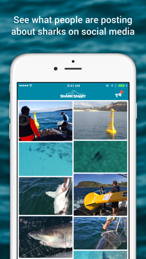 SharkSmart(圖5)-速報App