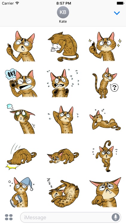Misty the Cat. Stickers by Design73