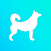 DDog - Find dog breed Puzzle