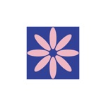 Roots  Wings Boutique