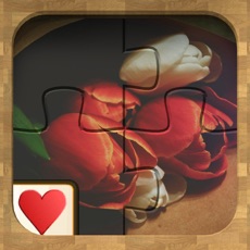 Activities of Jigsaw Solitaire Beauty