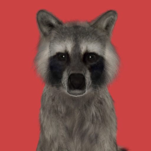 Raccoonical
