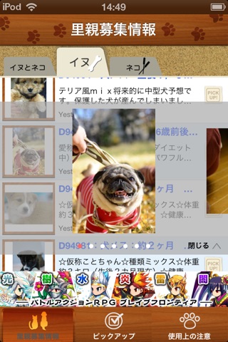 犬猫里親募集中 screenshot 4