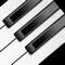 The My Piano Phone app turns your phone into piano or any musical instrument that you desire to play with real sound quality