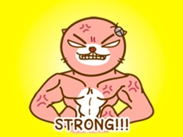 ● BIG SALE 70% OFF