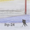 Ice-Hockey-Picture-24.de