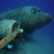 UnderWater Airplane Escape