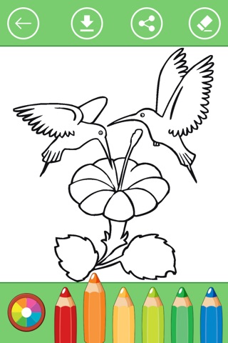 Bird Coloring Book for Kids. Learn to color & draw screenshot 4