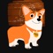 Warrior Corgi Sniper story of the struggle to win up to solve puzzles to enjoy game