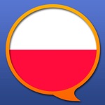 波兰语 - 多种语言 字典
