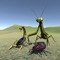Icon Bug Battle 3D