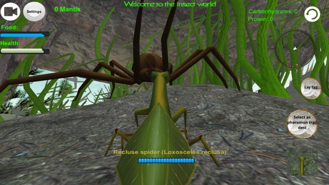 Praying Mantis Simulator 3D(圖1)-速報App