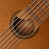 バーチャルギター - エレキ ギターそしてアコギ - iPhoneアプリ