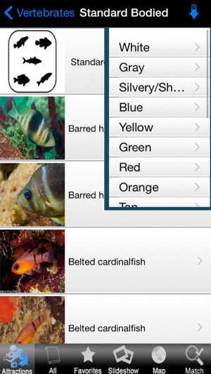 Caribbean Reef(圖3)-速報App