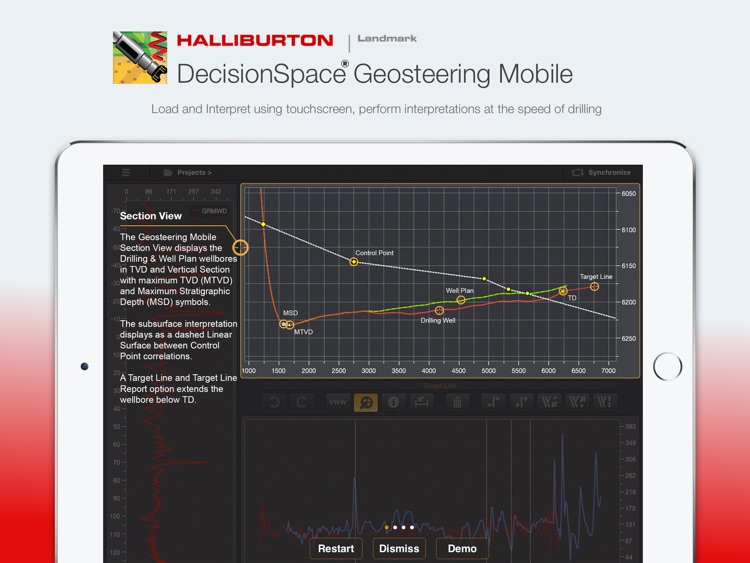 DecisionSpace Geosteering Mobile