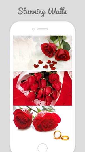 Trendy Roses - Best Collection of Rose Wallpapers(圖2)-速報App