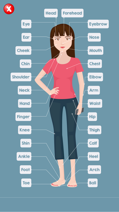 10 body parts name female